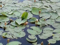 -长春世界雕塑园冰雪艺术天地