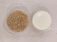 青稞酸奶-雪露酸奶