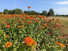 -洪湖湿地生态园