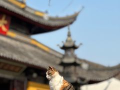 -西园戒幢律寺
