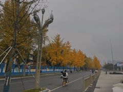 -四川大学(望江校区)