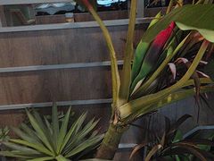 -湊湊火锅·茶憩(皇姑万象汇店)