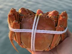 -品鲜村农家菜·阳澄湖大闸蟹(总店)