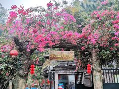 -广东天露山旅游度假区