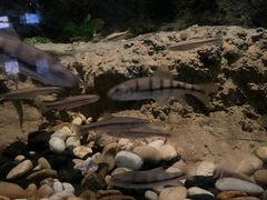 -中国湿地博物馆