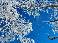 -雪谷