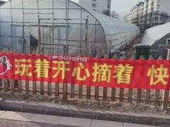 -田趣农庄草莓采摘园