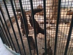 -石家庄市动物园