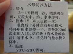 -泉城欧乐堡海洋极地世界