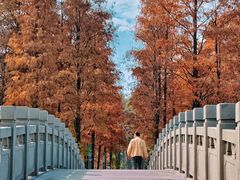 -四海公园(南山区)