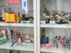 -斯坦星球青少儿编程机器人科学思维专注力科创竞赛规划(兰岛学习中心)