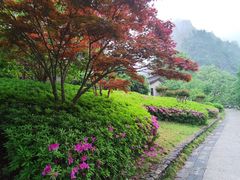 -楠溪江风景名胜区