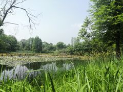 -西溪国家湿地公园