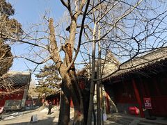 -承恩寺