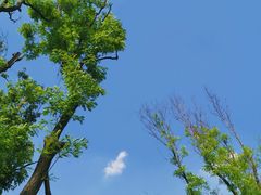 -白鹭湾湿地公园