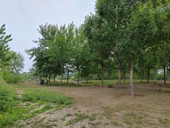 -马家湾湿地公园