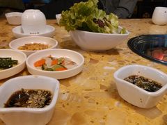 免费小菜-权金城
