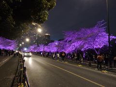 -西北湖绿化广场