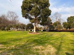 -滨湖塘西河公园