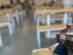 -禾匙素食自助(莱蒙都会店)