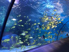 -太平洋海底世界