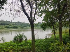 -广东花都湖国家湿地公园