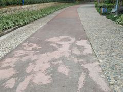 -狐尾山公园