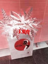 -Yestar杭州艺星医疗美容医院