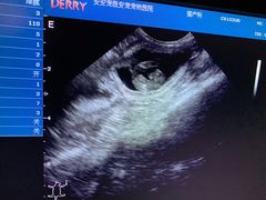 -安安宠医·安宠宠物医院