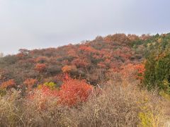 -北京西山国家森林公园