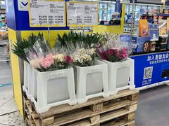 -麦德龙(浦东店)