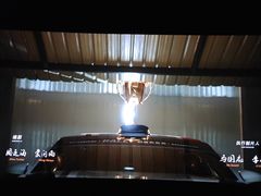 -深影国际影城(学院南路店CGS中国巨幕店)