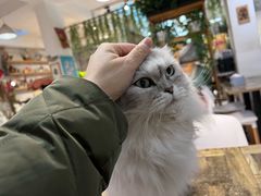 -小时光咖啡馆(北锣鼓巷店)