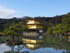 -豆政(金閣寺境内売店)