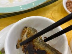 -鸿达渔港