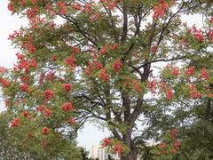 -白塘生态植物园