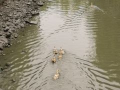 -上海崧泽遗址博物馆