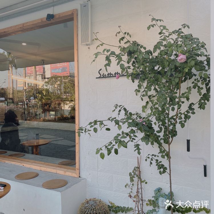 [吐]两间summer店都探过啦[吐][糖果]