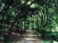 -龙寺生态园