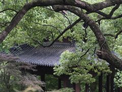 -城隍阁