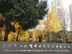 -重庆市江北嘴中央商务区中央公园