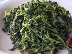养生枸杞苗-老毛手抓·盐池滩羊非遗手抓(宁夏总店)