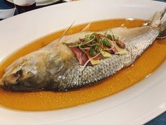 古法秘制蒸鲥鱼-麟1929(外滩店)