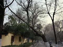 -颐和路民国时期公馆风貌区