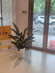 点击看大图 -Dr.林醫生产后修复·配方产康店(南京大厂店)