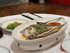 -醉辉皇原味海鲜江南菜(成都大魔方店)