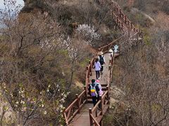 -大岭沟猕猴桃谷风景区