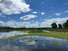 -西双版纳傣族园