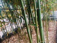 -碑林公园