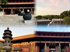 -深圳仙湖植物园